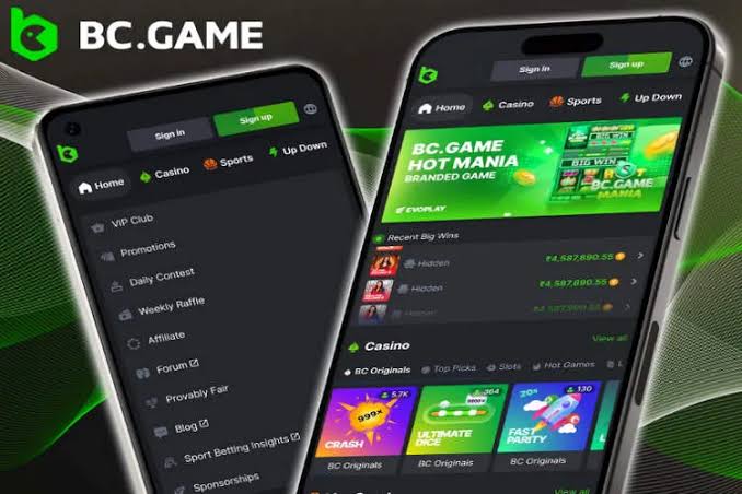 Unlock the World of Gaming with BC.Game Platform